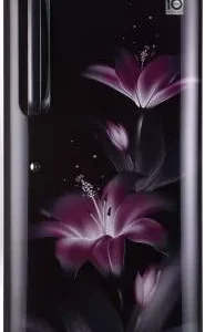 Lg 235 Litres 5 Star GL D241APGZ Direct Cool Single Door Refrigerator (GL-D241APGZ.DPGZEBN)