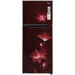 LG 260 Liters 2 Star Double Door Refrigerator(GL-N292BRGY.DRGZEBN)