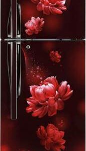 LG 260 L Frost Free Double Door 3 Star Convertible Refrigerator(GL-T292RSC3.DSCZEBN)