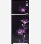 LG 260 L 3 Star Inverter Linear Frost-Free Double Door Refrigerator (GL-T292SPG3.DPGZEBN)