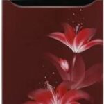 LG 308 L Frost Free Double Door 2 Star Convertible Refrigerator(GL-T322SRGY.ARGZEBN)