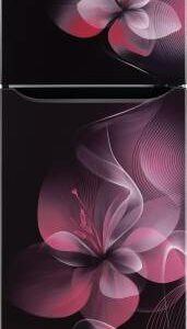 LG 260 L Frost Free Double Door 2 Star Refrigerator (GL-S292DPDY.APDZEBN)