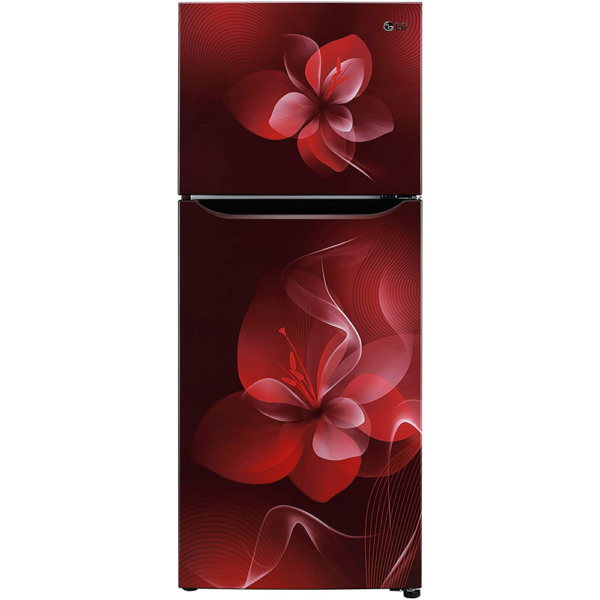 LG 260 L 2 Star Inverter Frost-Free Double Door Refrigerator (GL-S292DSDY.DSDZEBN)