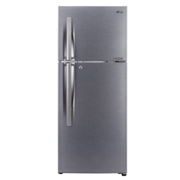 LG 260 L 2 Star Smart Inverter Frost-Free Double Door Refrigerator (GL-S292RDSY.DDSZEBN)