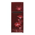 LG Refrigerator (GL-T292SRG3.ARGZEBN)