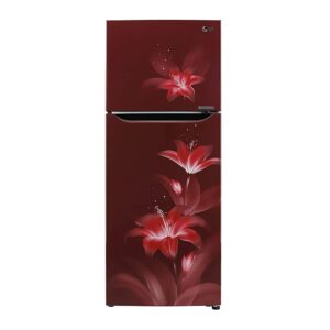 LG Refrigerator (GL-T292SRG3.ARGZEBN)