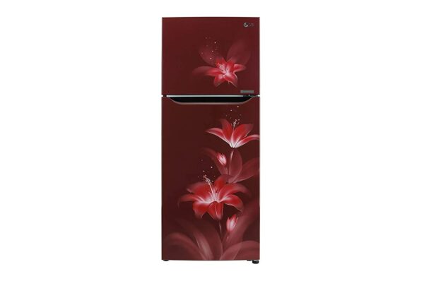 LG Refrigerator (GL-T292SRG3.ARGZEBN)