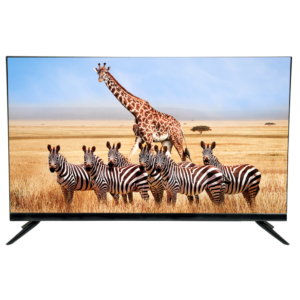 Elista 81.28 Cm (32 inch) LED HD Normal (LED - NH32ECA60)