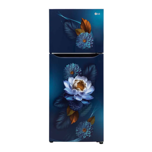 LG 240L Double Door Refrigerator with Smart Inverter Compressor, Blue Water Lily, 2 Star (GL-S292SBWY.DBWZEBN)