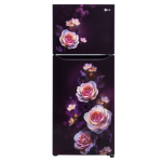 LG 240L Double Door Refrigerator with Smart Inverter Compressor, Multi-Air Flow, Purple Bloom, 2 Star (GL-N292DPBY.DPBZEBN)
