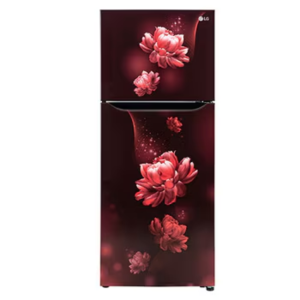 LG 240L Double Door Refrigerator with Smart Inverter Compressor, Multi-Air Flow, Scarlet charm, 2 Star (GL-N292BSCY.ASCZEBN)