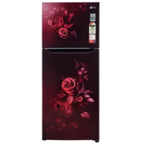 LG 272 Liters Double Door Refrigerator Star Inverter Scarlet Euphoria 2 Star (GL-S312SSEY.ASEZEBN)