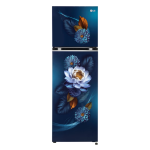 LG 272L Double Door Refrigerator, Smart Inverter Compressor, Convertible, Frost-Free, Blue Waterlily Finish, 2 Star (GL-S312SBWY.ABWZEBN)