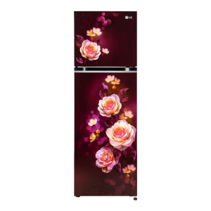LG 272L Double Door Refrigerator with Smart Diagnosis, Multi-Air Flow, Sliding Ice Tray, Scarlet Bloom, 2 Star (GL-N312SSBY.ASBZEBN)